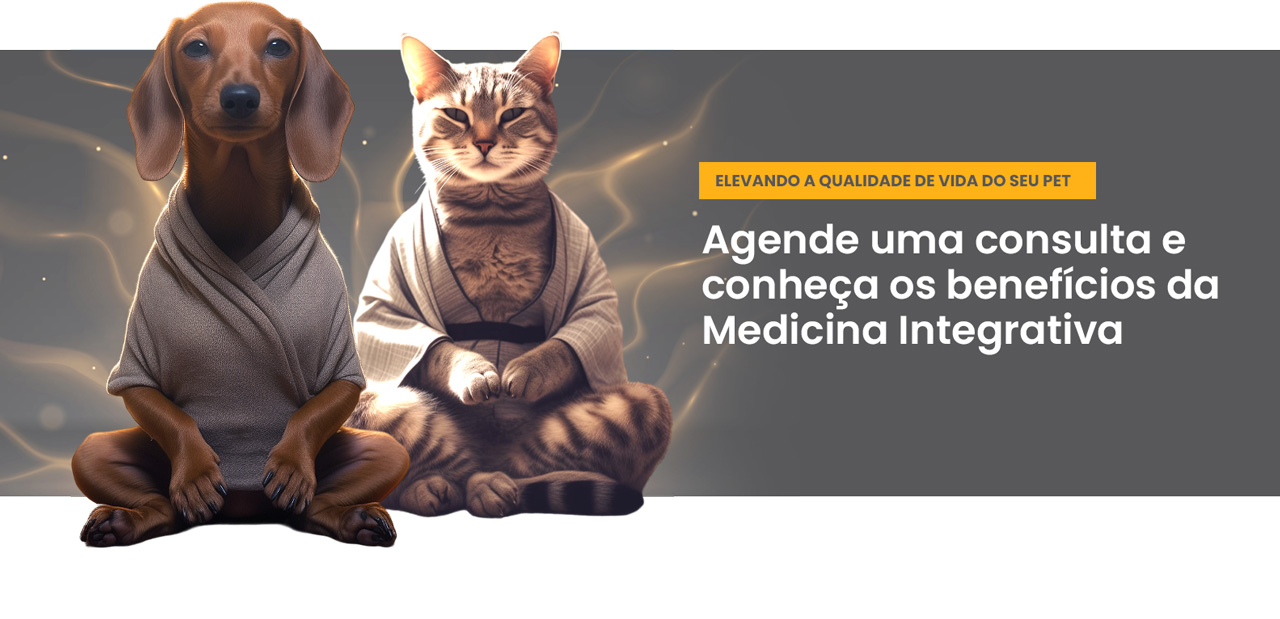 Banner digital Cris Aguiar