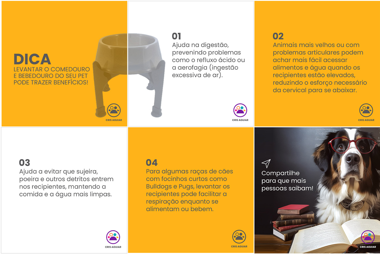 Post dica comedouro